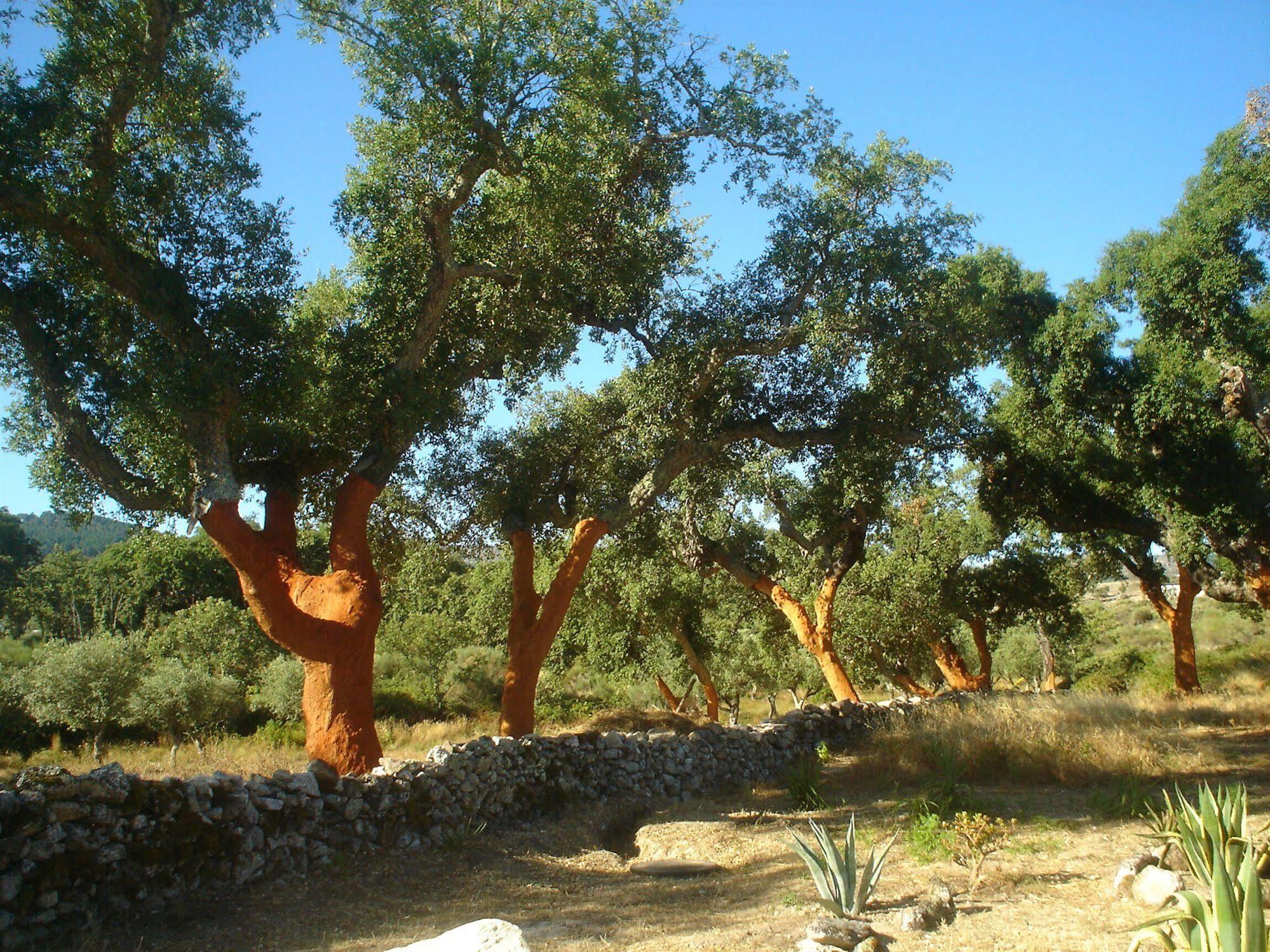 Herdade Da Fonte Castelo de Vide Exterior photo